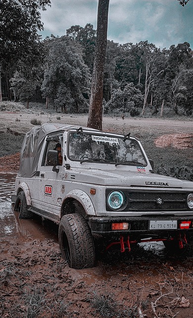 随队记者：预计布朗尼会将在G联赛度过大量时间.